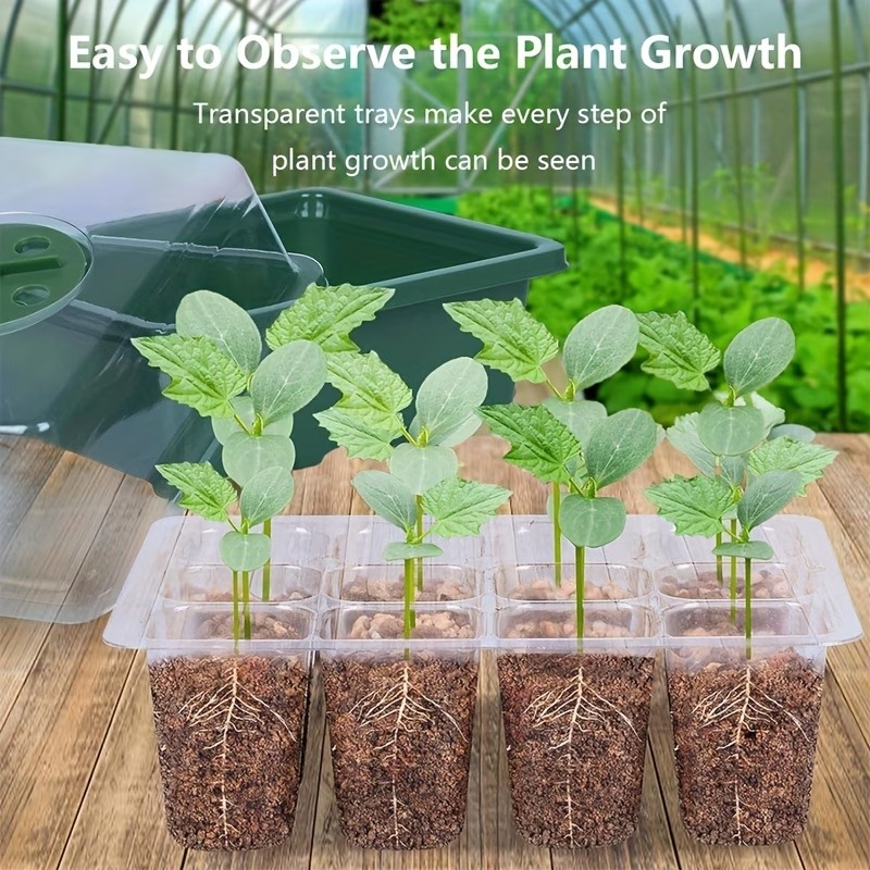 3pcs Seed Starter Tray Mini Gr - Dome Propagation Kit 评论和价格