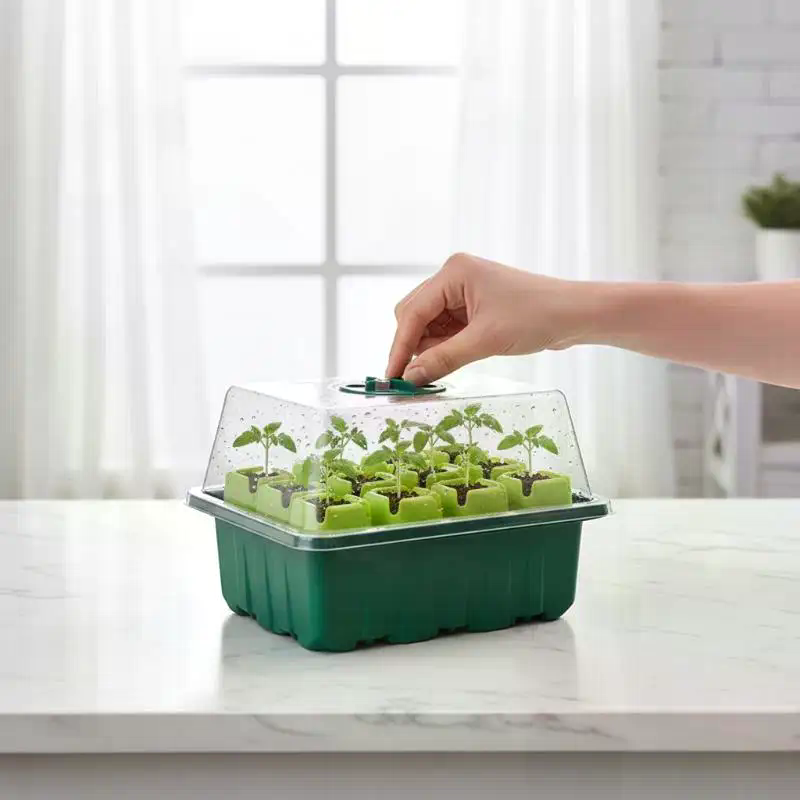 1Set Seed Starter Tray Mini Gr - Dome Propagation Kit 评论和价格