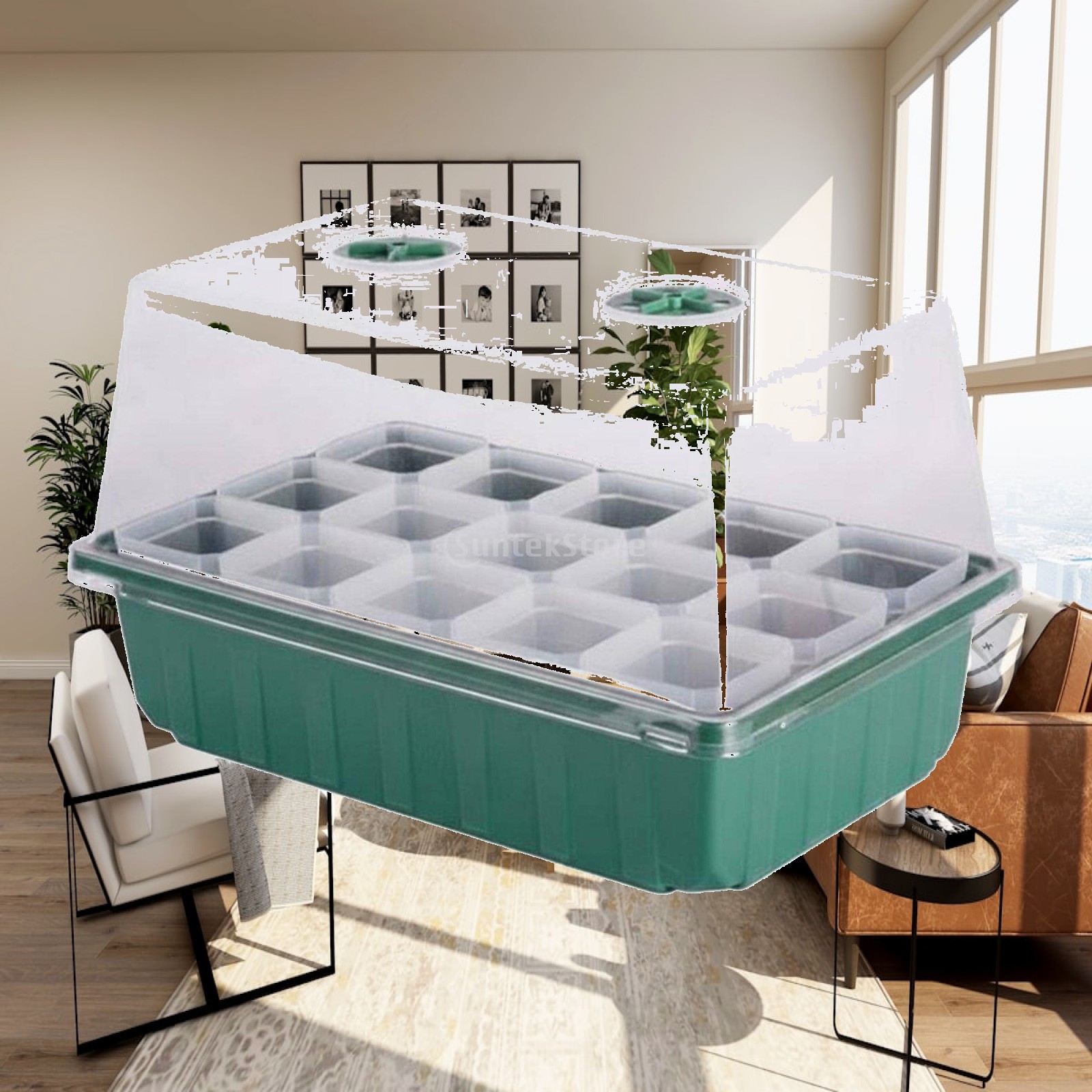 Mini Greenhouse Propagator Box - Dome Propagation Kit 评论和价格
