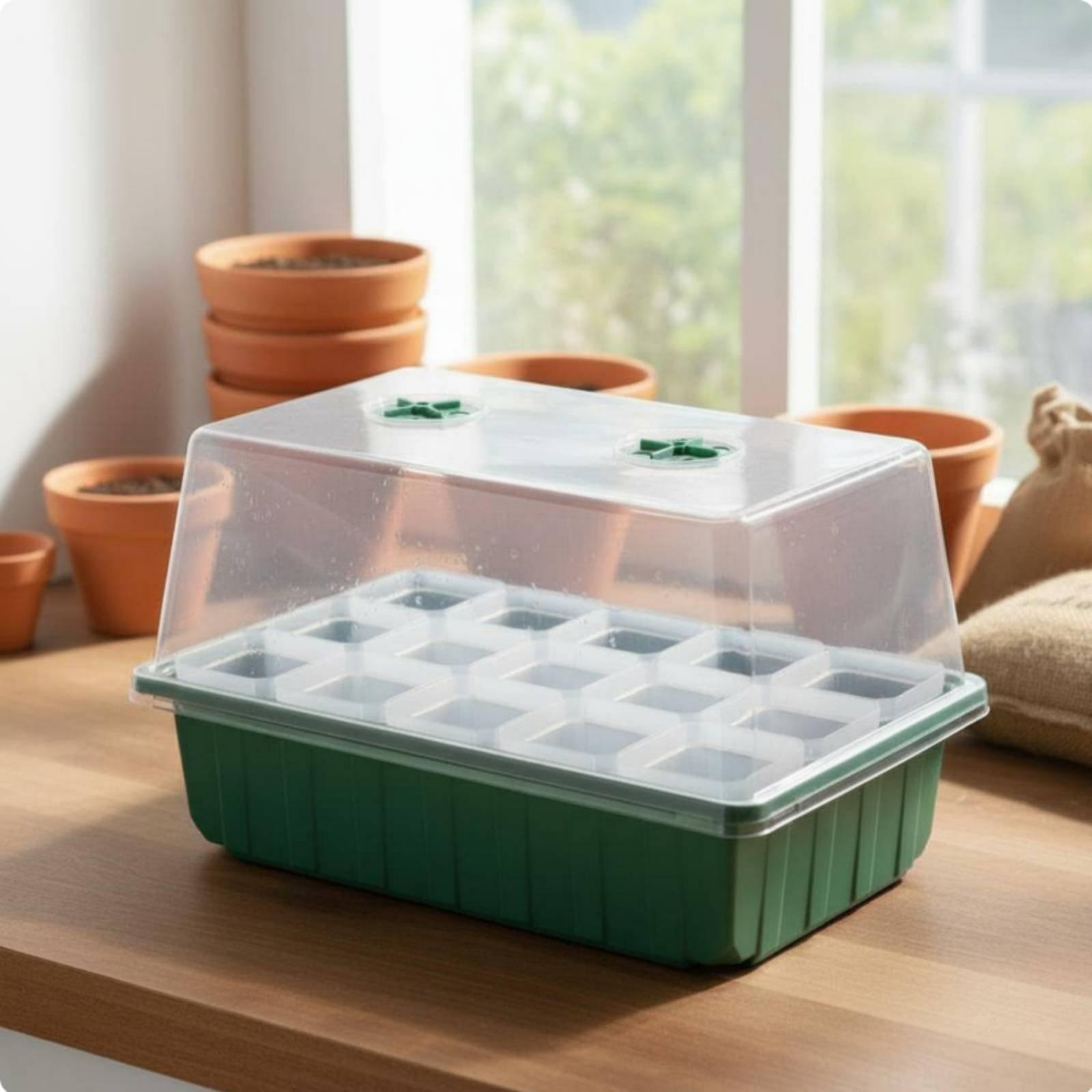 Mini Greenhouse Propagator Box - Dome Propagation Kit 评论和价格