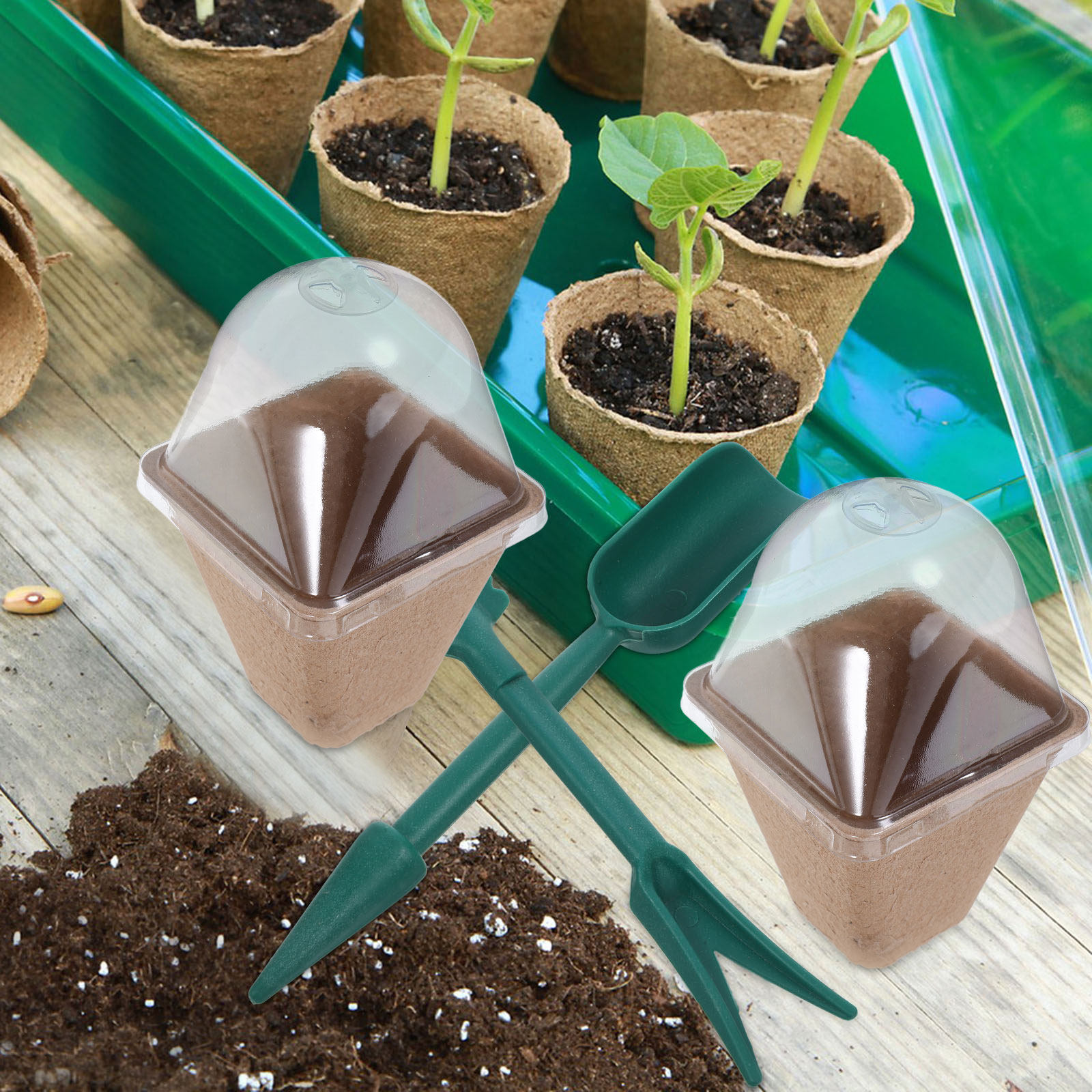 10Pcs Sustainable Seedling Sta - Dome Propagation Kit 评论和价格