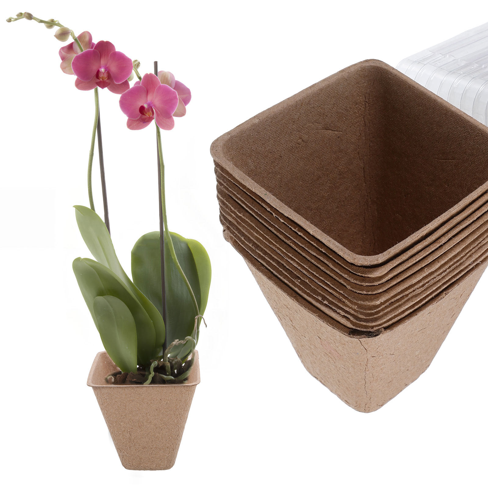 10Pcs Sustainable Seedling Sta - Dome Propagation Kit 评论和价格