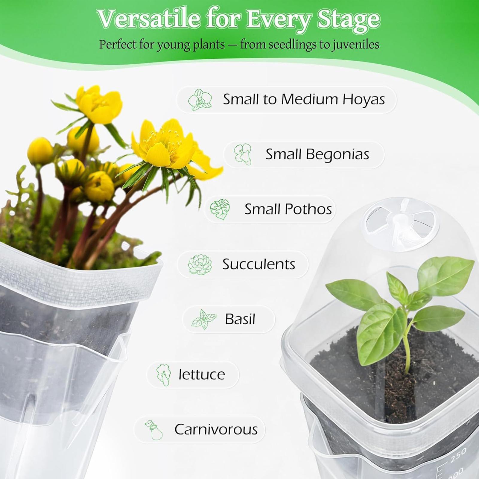 Self Watering Pots 12Pcs Seed  - Dome Propagation Kit 评论和价格